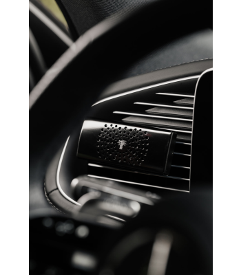 Дифузор для авто Black Pearls