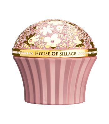 Whispers of Abundance